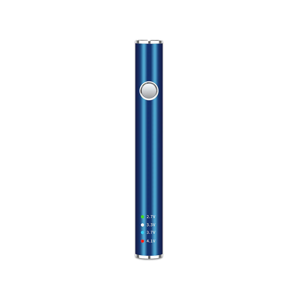Leaf Buddi Max II VV