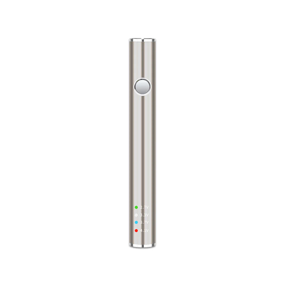 Leaf Buddi Max II VV