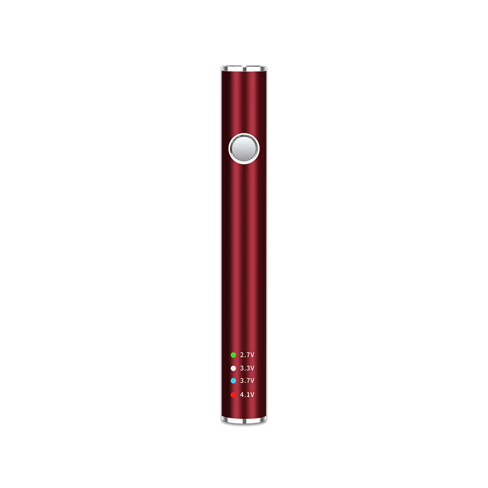 Leaf Buddi Max II VV