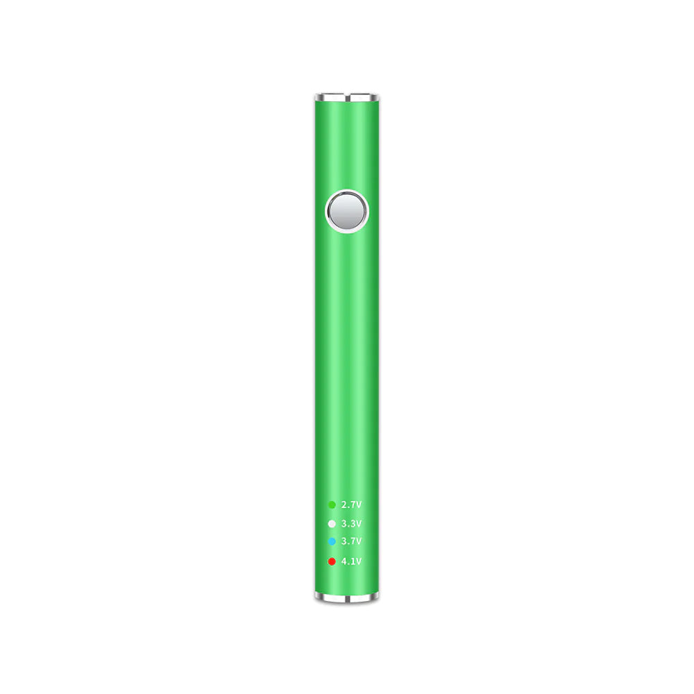 Leaf Buddi Max II VV